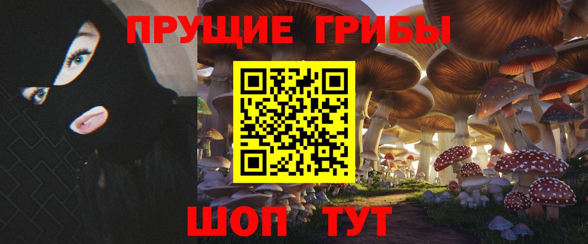 Урай  как найти   Вход с VPN  Псилоцибиновые грибы Cubensis 